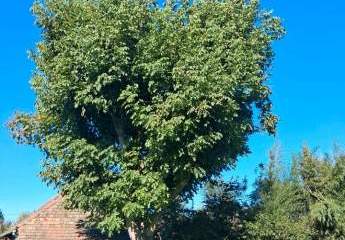 478221-Vorschaubild3