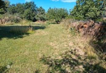 478221-Vorschaubild4