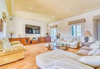 371654-Vorschaubild2