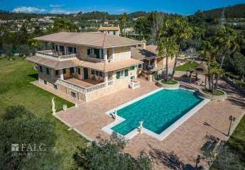 371654-Vorschaubild3