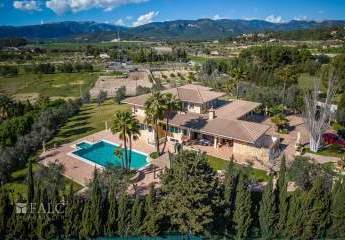 371654-Vorschaubild4