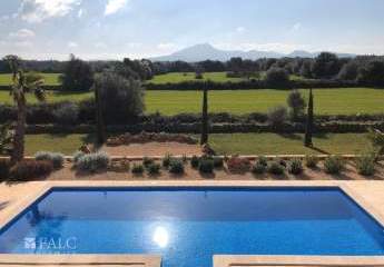 409503-Vorschaubild3