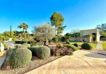 409503-Vorschaubild4