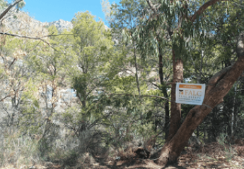 391504-Vorschaubild4