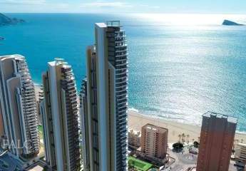 409236-Vorschaubild2