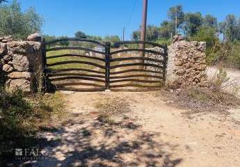 425962-Vorschaubild3