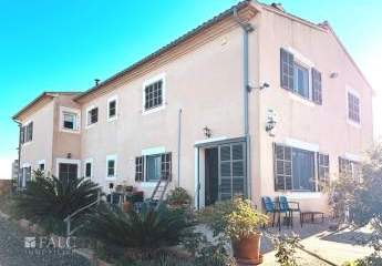 416212-Vorschaubild3