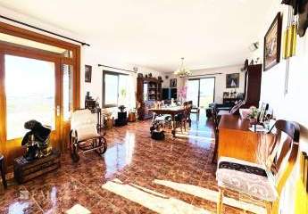 416212-Vorschaubild4