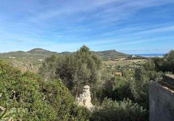 399174-Vorschaubild3