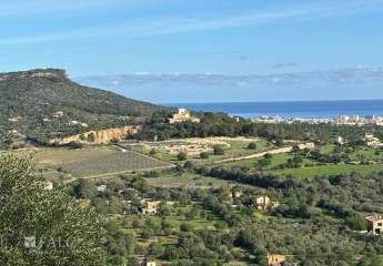 399174-Vorschaubild4