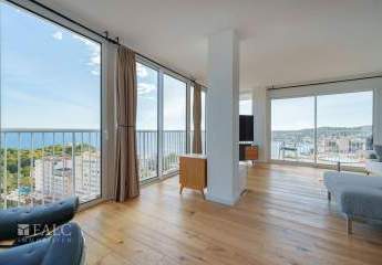 427905-Vorschaubild3