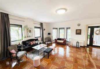 478546-Vorschaubild2