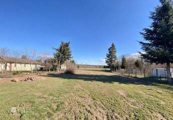 478562-Vorschaubild3