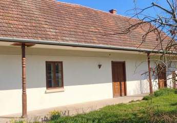 478692-Vorschaubild2