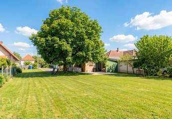 478703-Vorschaubild4