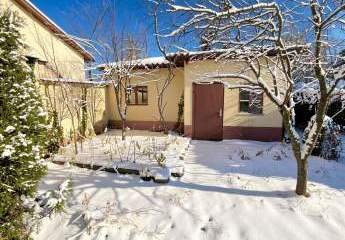 478708-Vorschaubild2