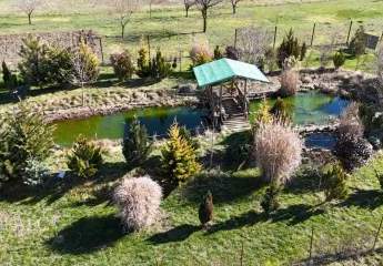 478717-Vorschaubild2