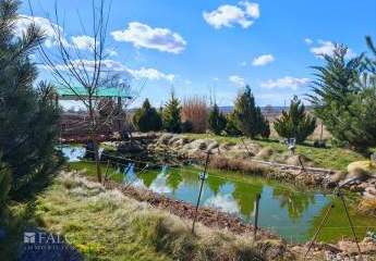 478717-Vorschaubild3