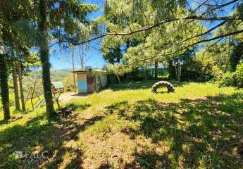 476594-Vorschaubild3