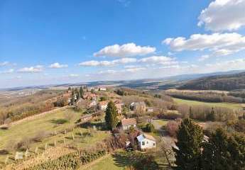 478793-Vorschaubild2