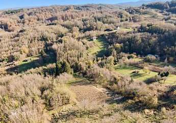 478793-Vorschaubild3