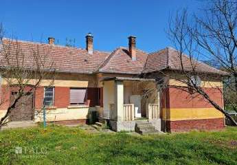 478809-Vorschaubild2