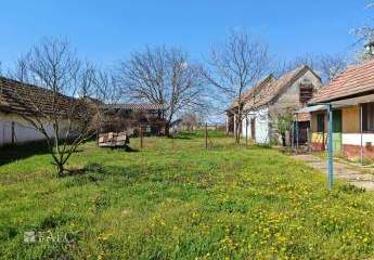 478809-Vorschaubild4