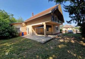 478817-Vorschaubild2