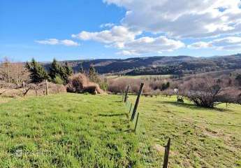 478891-Vorschaubild3