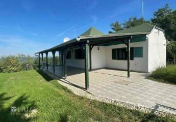 478943-Vorschaubild3