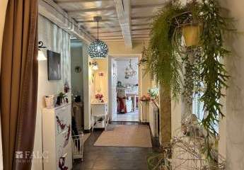 479145-Vorschaubild2