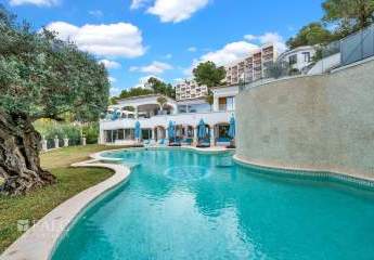 479246-Vorschaubild2