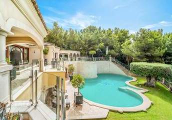 479246-Vorschaubild3