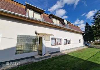 479247-Vorschaubild3