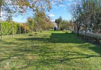 479247-Vorschaubild4