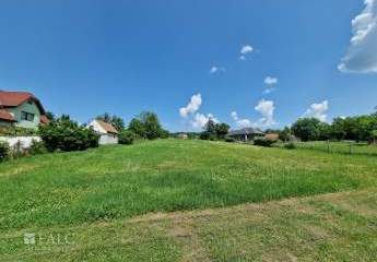 479248-Vorschaubild2