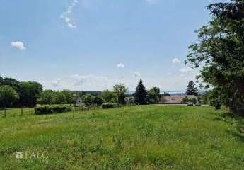 479248-Vorschaubild4