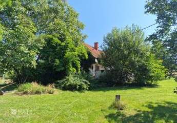 479252-Vorschaubild2