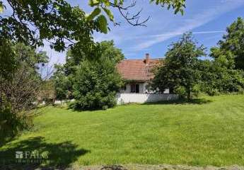 479252-Vorschaubild3