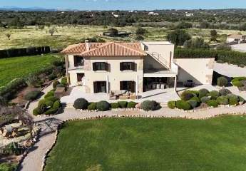 474177-Vorschaubild2