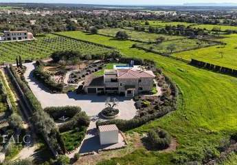 474177-Vorschaubild4