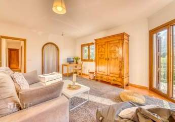 479443-Vorschaubild2