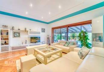 475787-Vorschaubild4