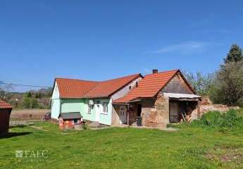 479462-Vorschaubild2