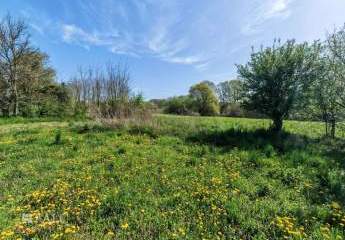 479462-Vorschaubild4