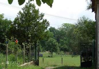 479463-Vorschaubild3