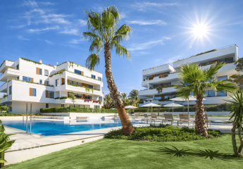 479592-Vorschaubild2