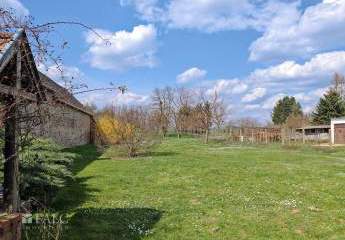 479598-Vorschaubild2