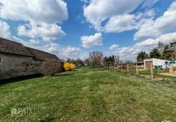 479598-Vorschaubild3