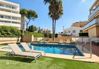 479599-Vorschaubild2